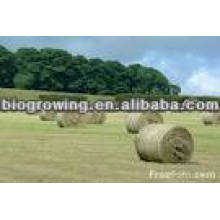 Silage-Impfmittel - Futter-Impfstoffe